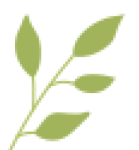 Connect with EFT logo